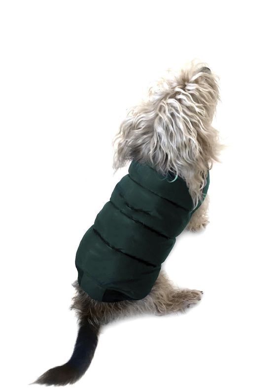 Arturo Recycled Polyester and Down Dog Coat